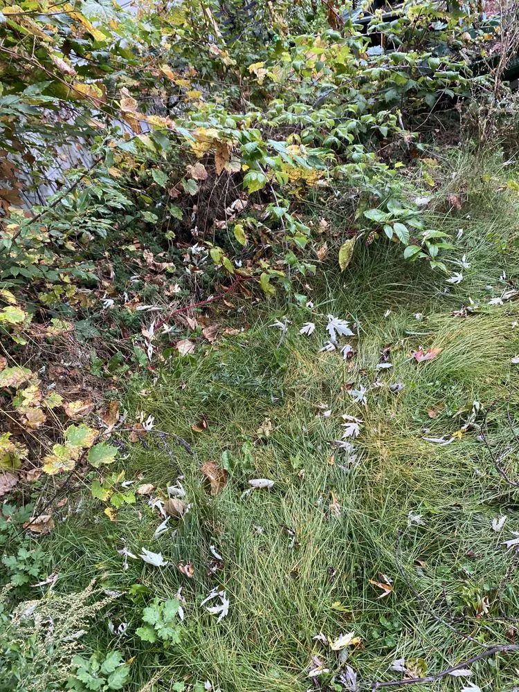 Professional landscape installation in Macedon, NY by Jeffs Lawn Care