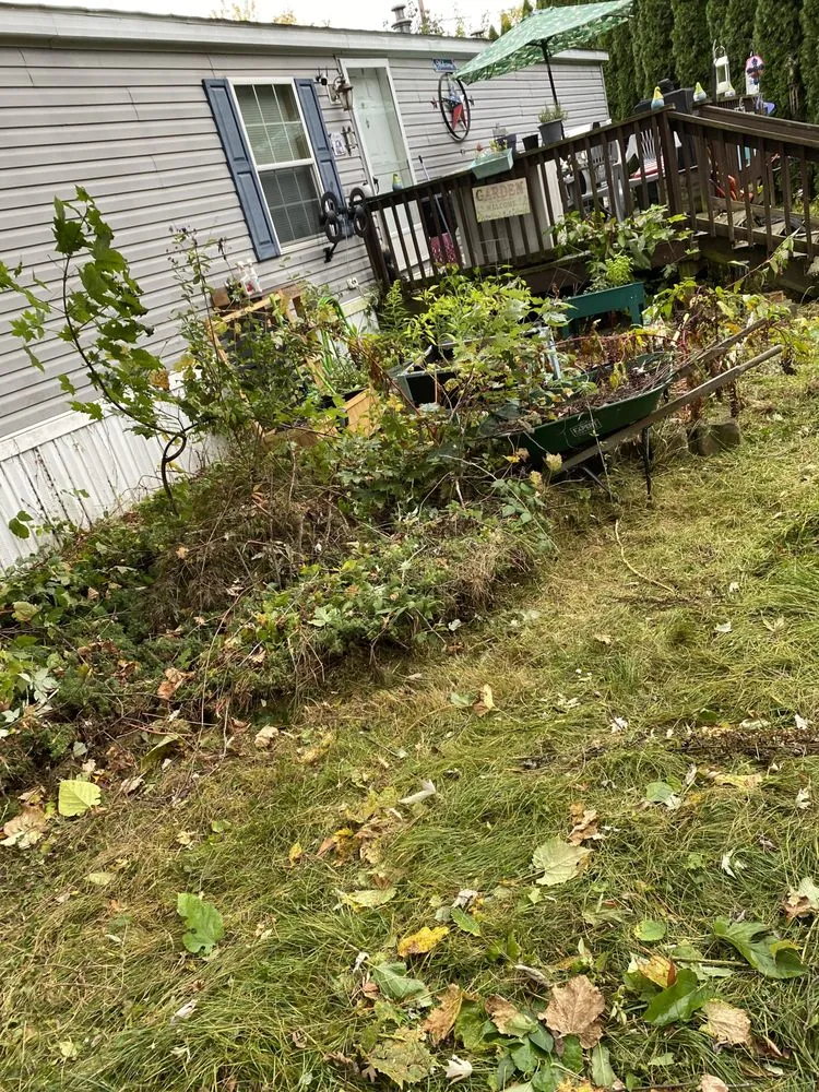Reliable yard cleanup service in Macedon, NY by Jeffs Lawn Care