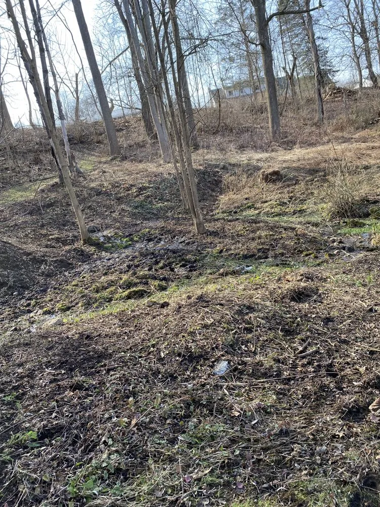 Trusted lawn mowing service near you across Macedon, NY - Jeffs Lawn Care