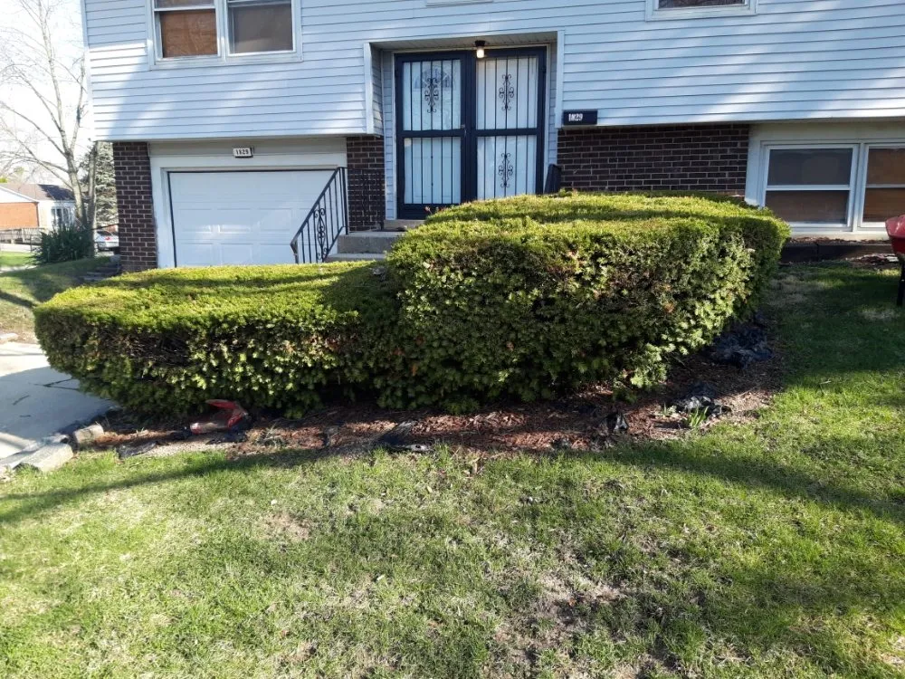 Top-rated outdoor landscaping for outdoor upgrades in Sauk Village, IL by Jeff's Lawn Care