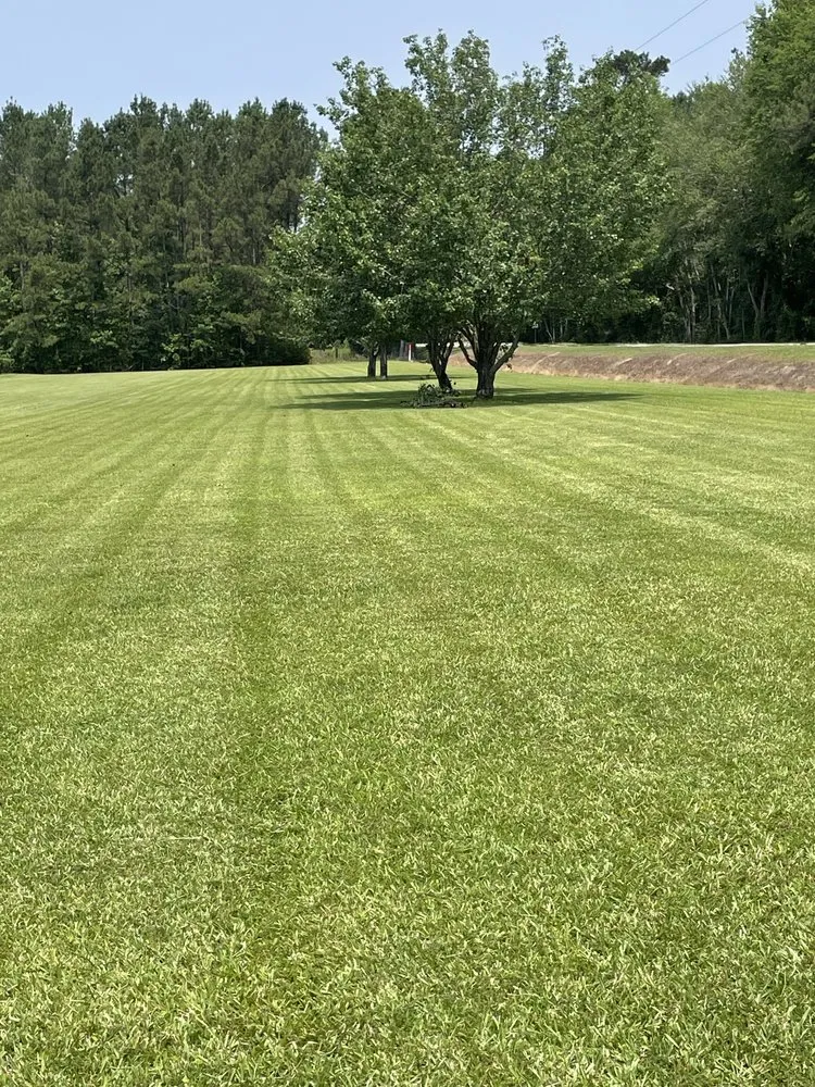Custom yard cleanup service in Varnville, SC - Jeff’s Lawn Care