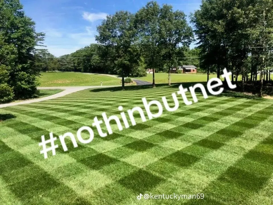 Reliable lawn care service experts serving Varnville, SC - Jeff’s Lawn Care