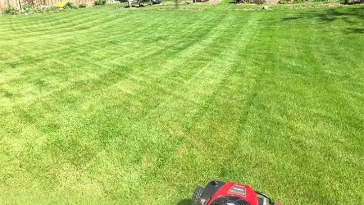 Top-rated landscaping services with custom design across Anniston, AL - Jeff's Lawn Service