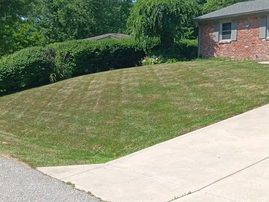 Jeff's Lawncare Logo