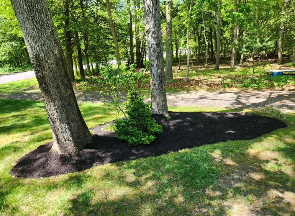 Affordable landscaping services experts serving Crescent City, FL - Jeff’s Lawns Unlimited