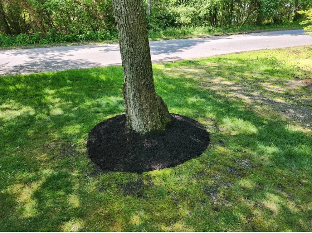 Professional lawn mowing service in Crescent City, FL - Jeff’s Lawns Unlimited