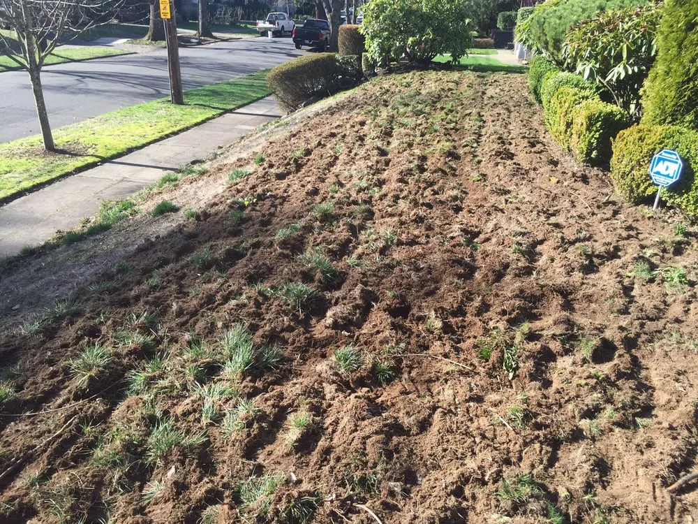 Reliable residential landscaping in Vancouver, WA by Jeff's Quality Rototilling