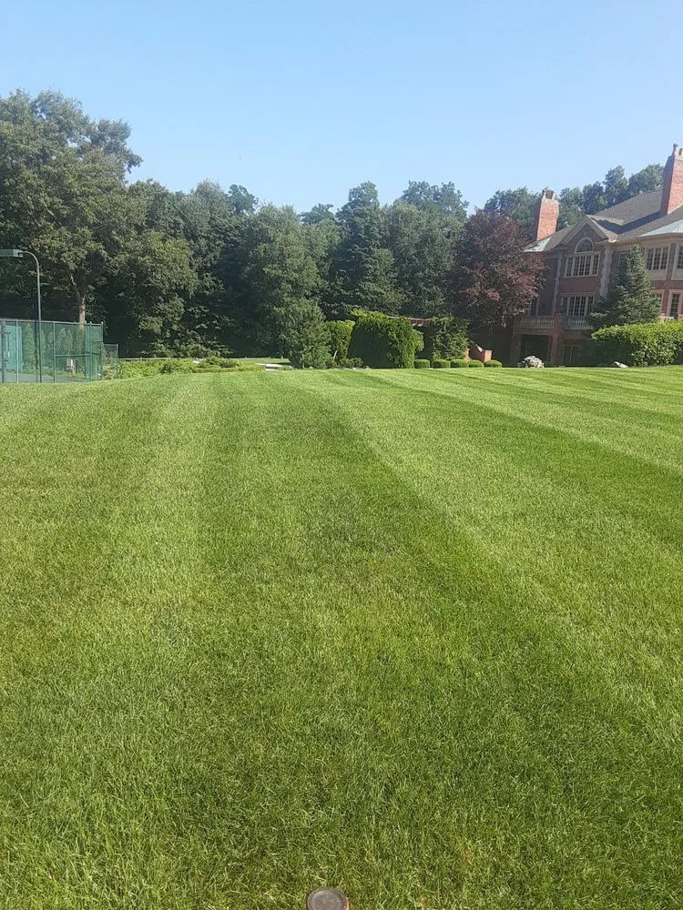 Expert outdoor landscaping for beautiful yards across Cassopolis, MI - Jeff's Snow Plowing and Lawn Care