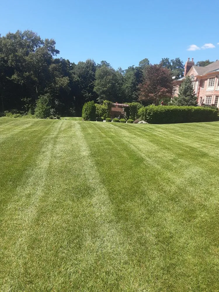 Reliable landscape installation in Cassopolis, MI - Jeff's Snow Plowing and Lawn Care
