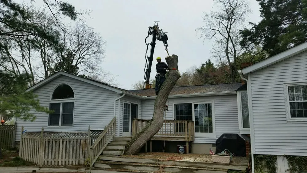 Top-rated landscape design for outdoor upgrades in Hollywood, MD by Jeff's Tree Service