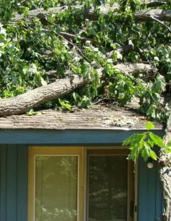 Trusted lawn care service with custom design across Hollywood, MD - Jeff's Tree Service
