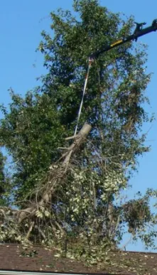 Trusted lawn mowing service in Hollywood, MD by Jeff's Tree Service