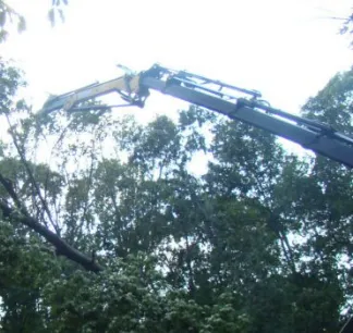 Expert landscape design for year-round maintenance across Hollywood, MD - Jeff's Tree Service