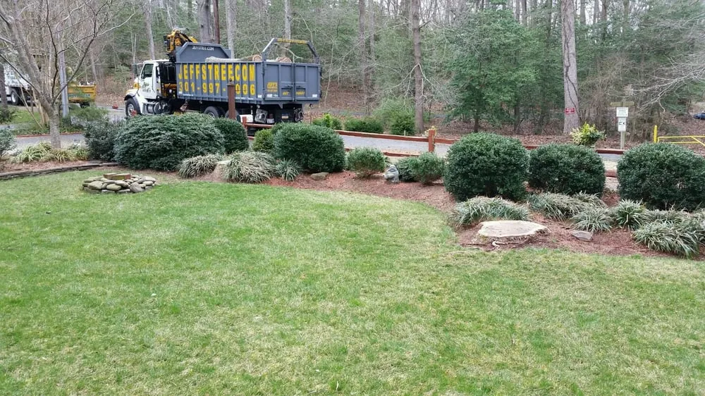 Professional yard maintenance in Hollywood, MD by Jeff's Tree Service