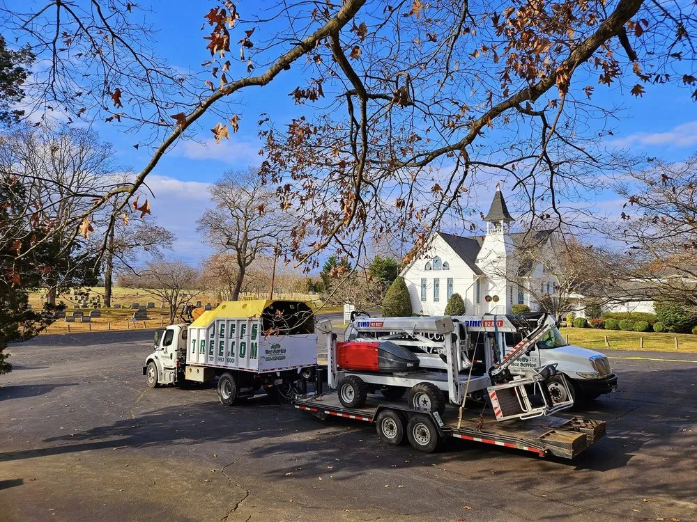 Local landscaping services in Hollywood, MD - Jeff's Tree Service