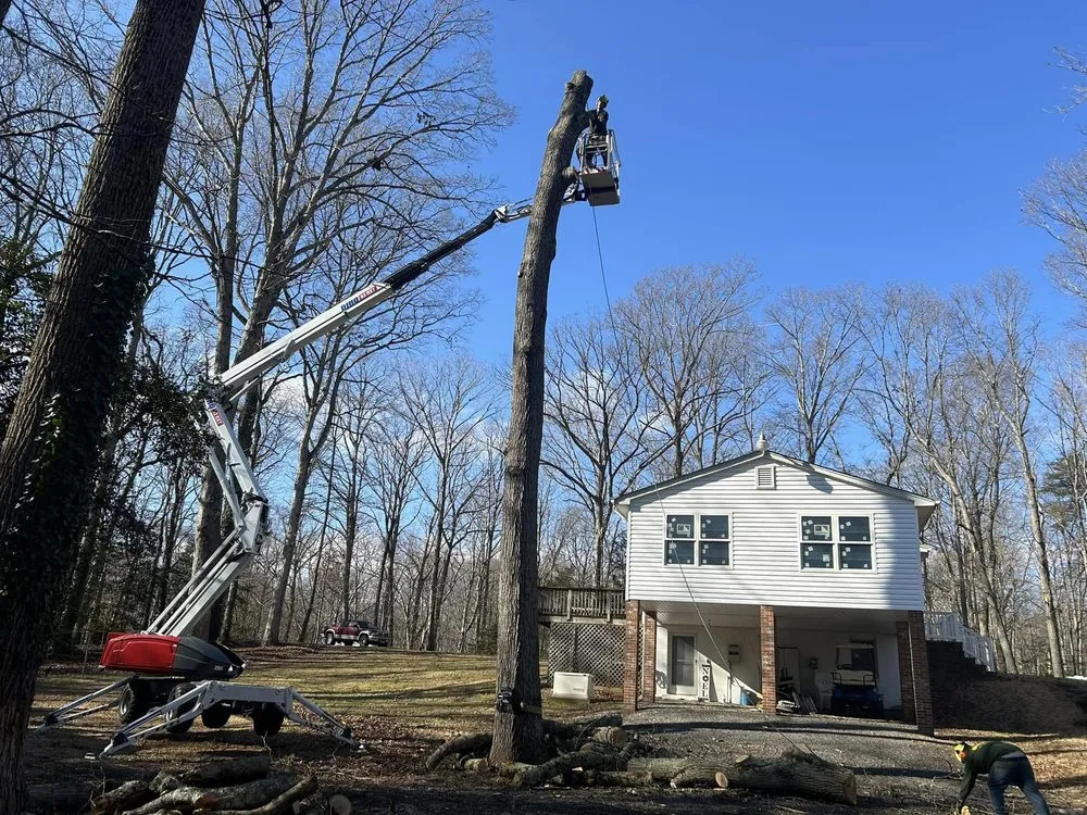 Custom landscape design near you across Hollywood, MD - Jeff's Tree Service