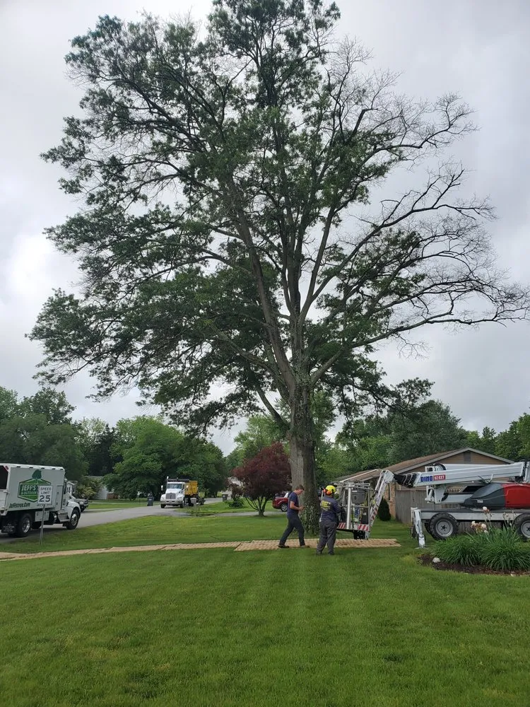 Reliable lawn care service experts serving Hollywood, MD - Jeff's Tree Service