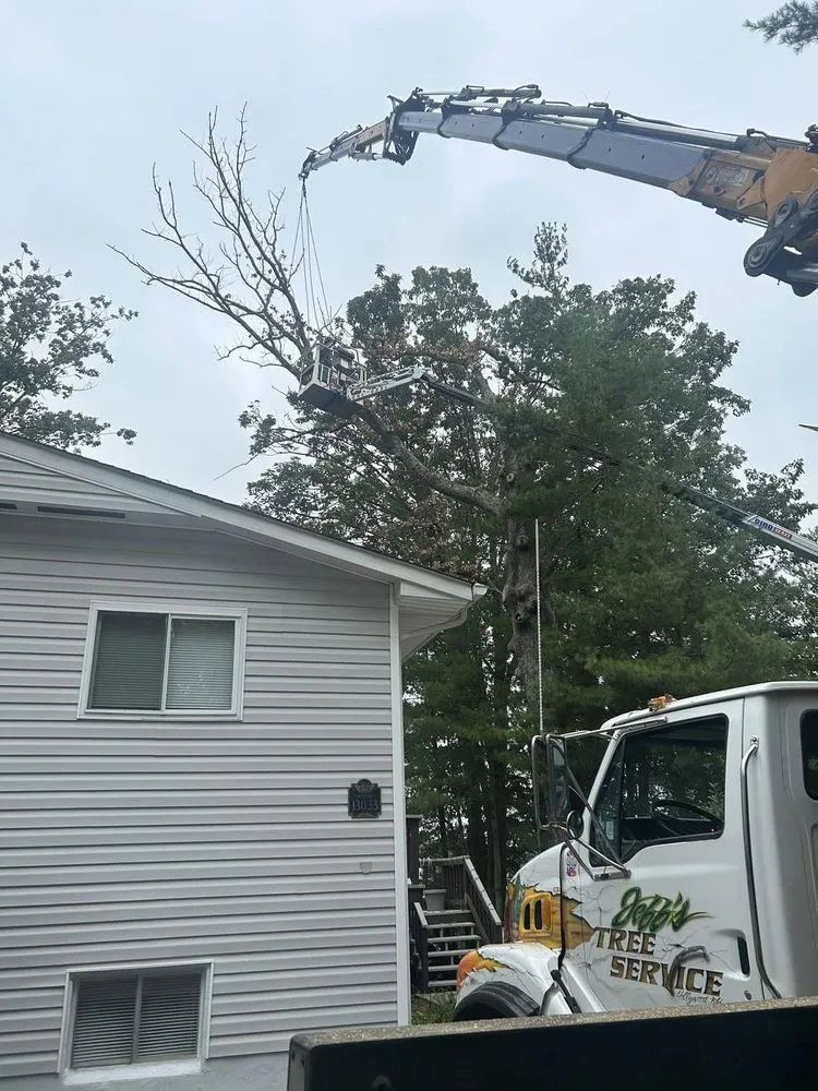 Professional lawn care service with custom design across Hollywood, MD - Jeff's Tree Service