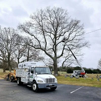 Jeff's Tree Service Logo