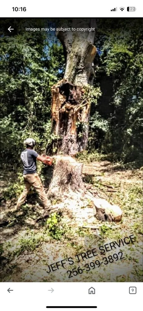 Expert landscape design for residential properties across Southside, AL - Jeff's Tree Service