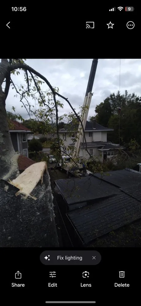 Top-rated residential landscaping for year-round maintenance across Southside, AL - Jeff's Tree Service