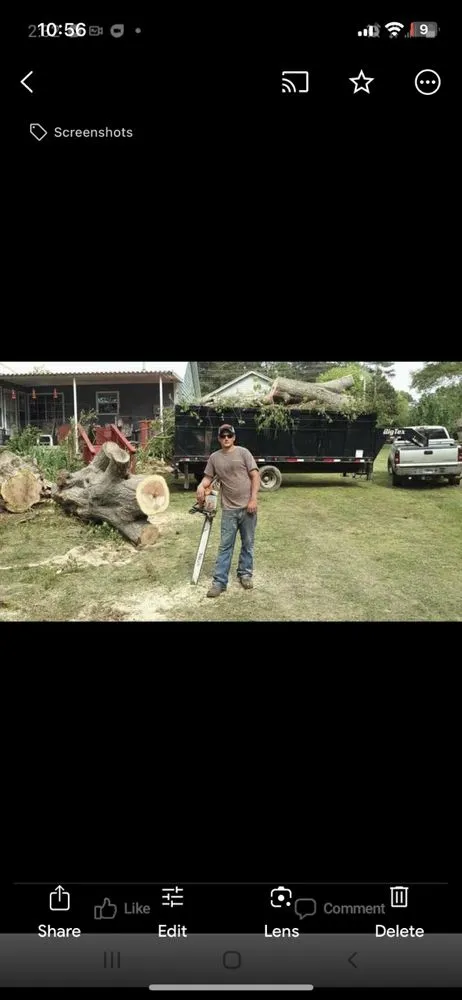 Affordable landscape design in Southside, AL by Jeff's Tree Service