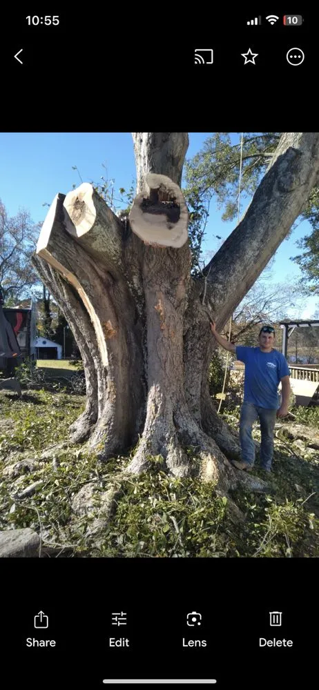Trusted garden landscaping for homes across Southside, AL - Jeff's Tree Service
