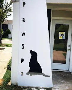 Trusted landscaping services in Austin, TX - JEG Lawn & Landscaping