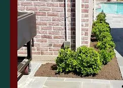 Custom landscape installation in Austin, TX - JEG Lawn & Landscaping