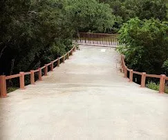 Professional landscape installation for year-round maintenance in Austin, TX by JEG Lawn & Landscaping