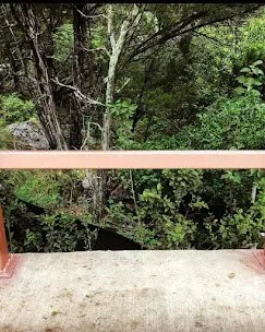 Custom yard maintenance for year-round maintenance across Austin, TX - JEG Lawn & Landscaping