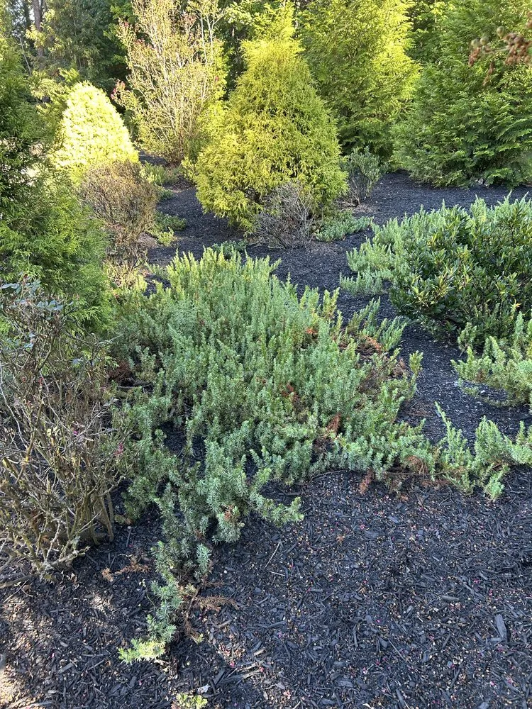 Custom landscaping services for outdoor upgrades across Petersburg, VA - Jehoshaphat Landscaping