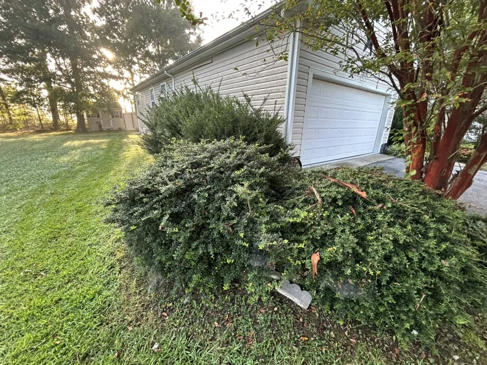 Custom lawn mowing service in Petersburg, VA by Jehoshaphat Landscaping