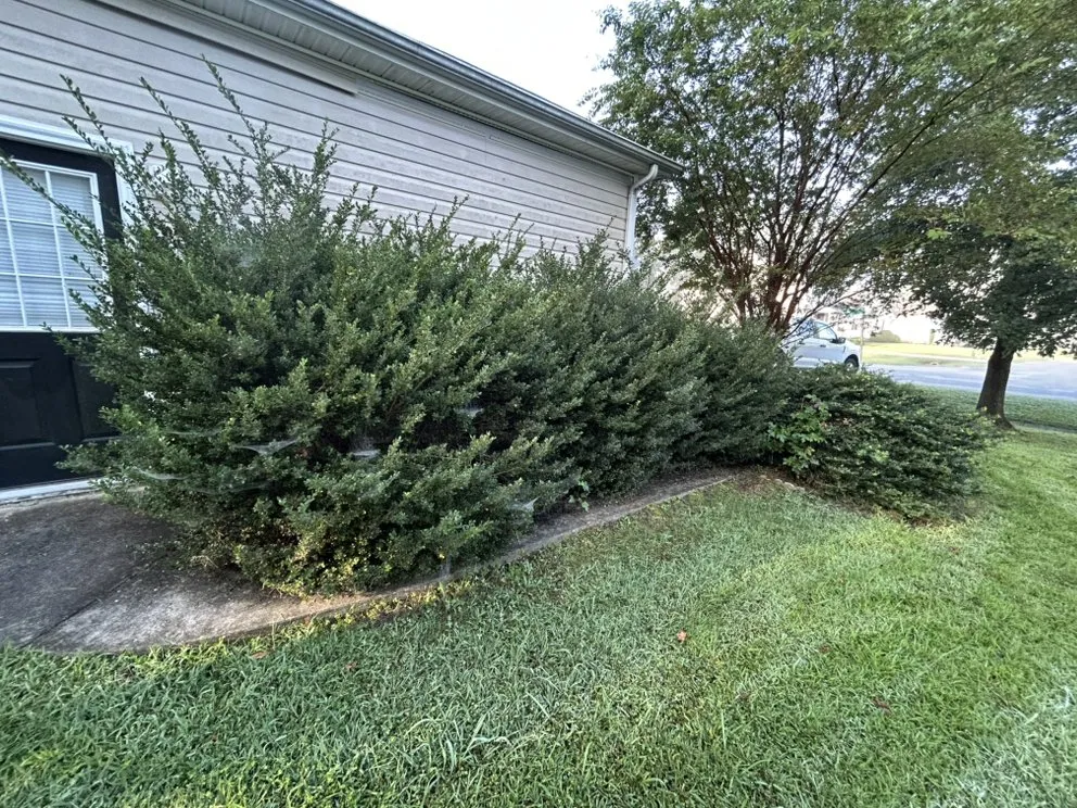 Affordable residential landscaping experts serving Petersburg, VA - Jehoshaphat Landscaping