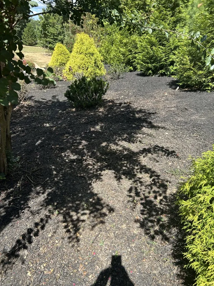 Professional landscape installation experts serving Petersburg, VA - Jehoshaphat Landscaping