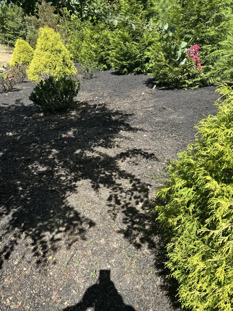 Local residential landscaping in Petersburg, VA - Jehoshaphat Landscaping