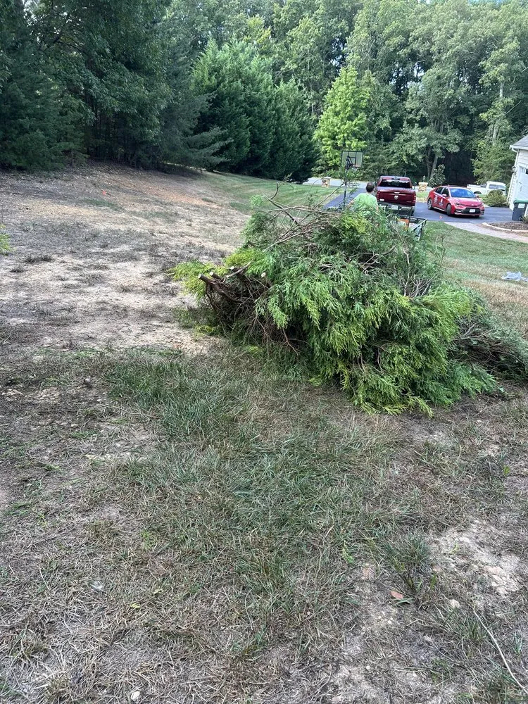 Expert yard maintenance experts serving Petersburg, VA - Jehoshaphat Landscaping