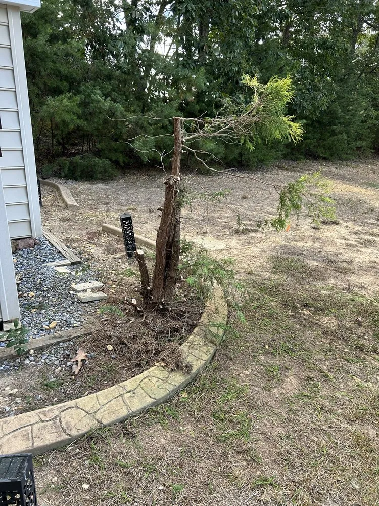 Affordable landscaping services in Petersburg, VA - Jehoshaphat Landscaping