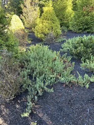 Jehoshaphat Landscaping