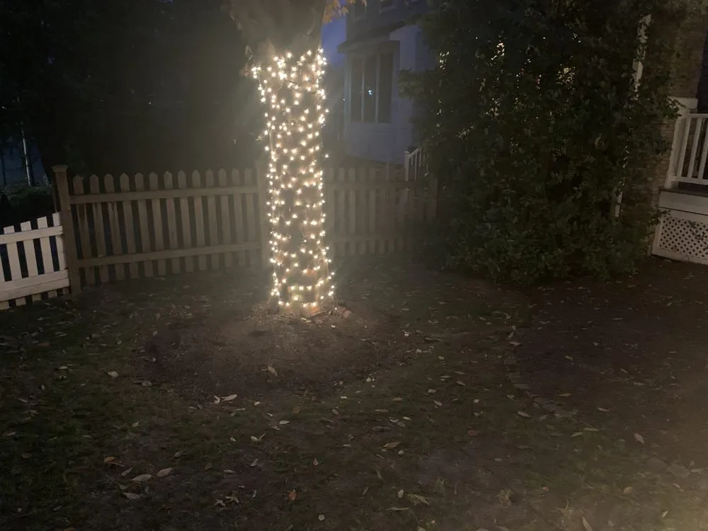 Professional yard maintenance experts serving Forest Heights, MD - Jej Outdoor Services