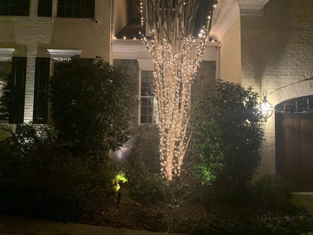 Professional landscape design for beautiful yards in Forest Heights, MD by Jej Outdoor Services