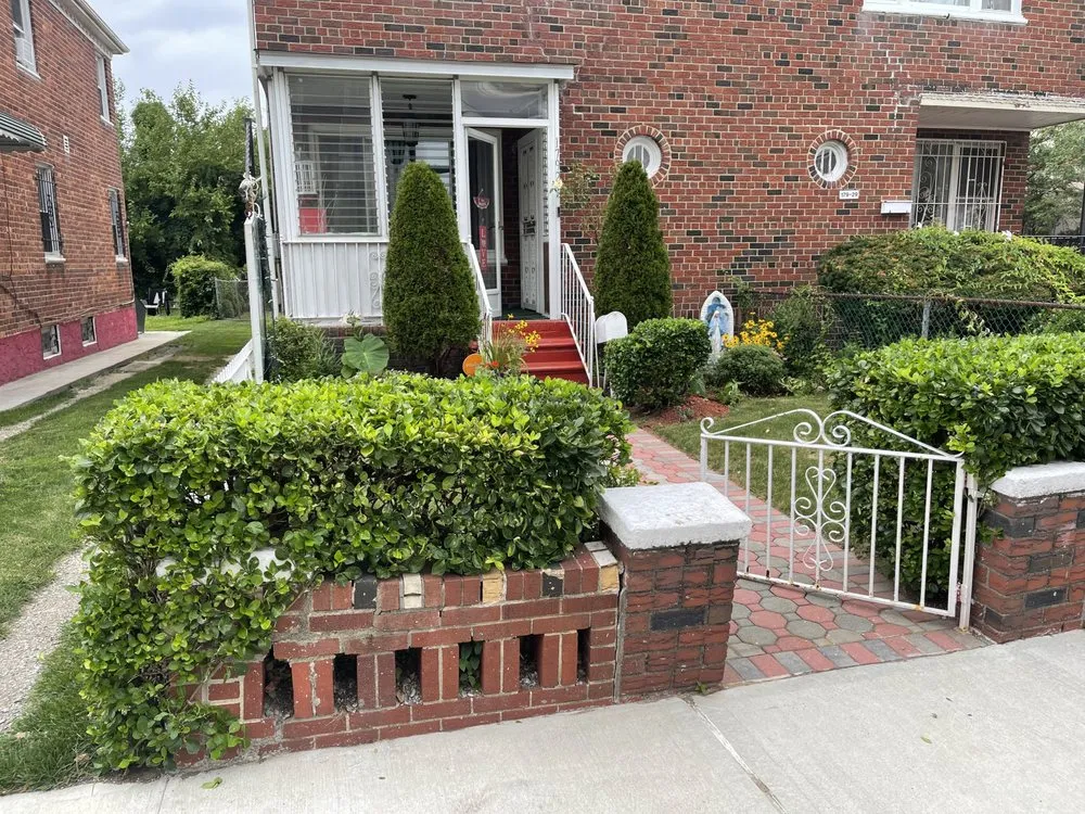 Local lawn care service in New York, NY - Jelani Lewis