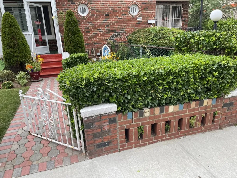 Reliable landscape installation in New York, NY - Jelani Lewis