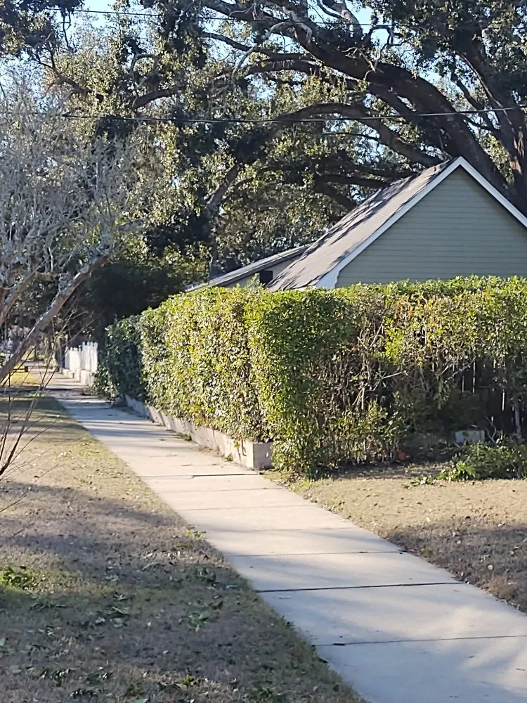 Professional landscaping services for beautiful yards across Gulfport, MS - JEM Home Repair And Lawn Care