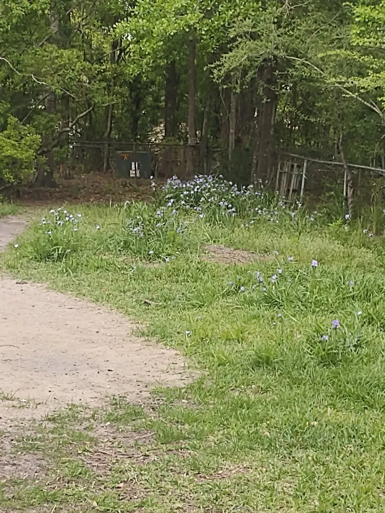 Professional outdoor landscaping for residential properties in Gulfport, MS by JEM Home Repair And Lawn Care