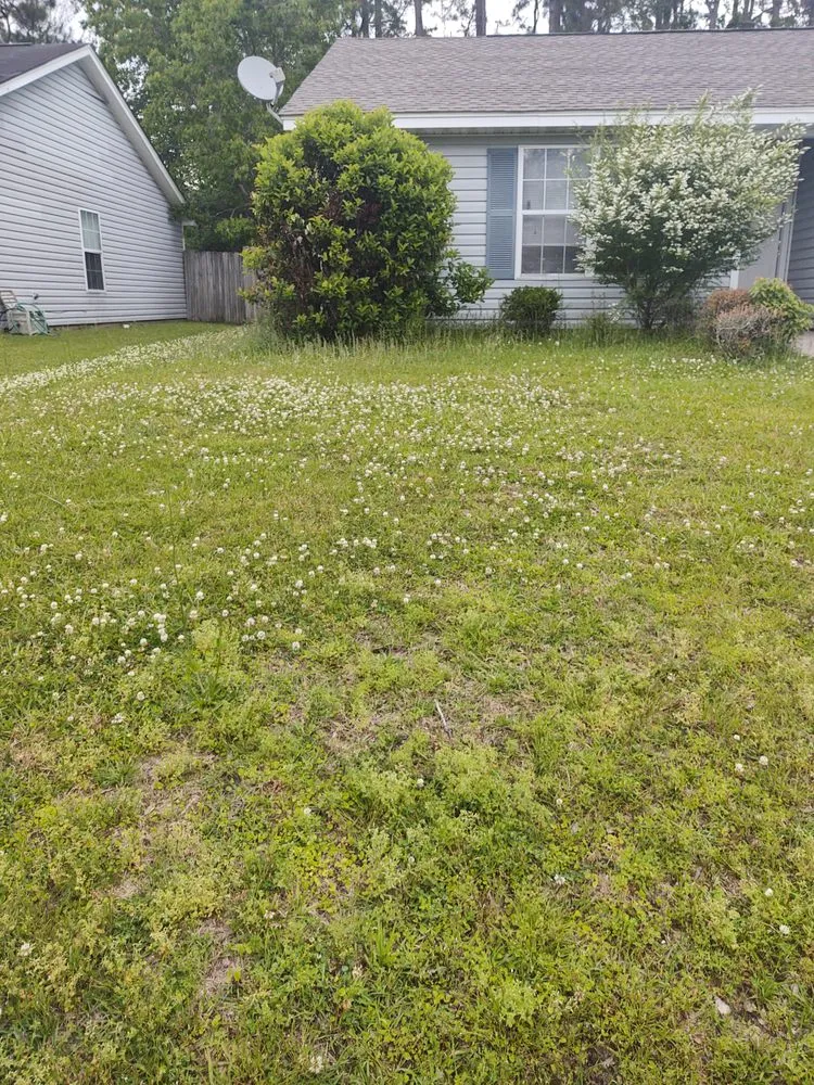 Reliable residential landscaping for beautiful yards in Gulfport, MS by JEM Home Repair And Lawn Care