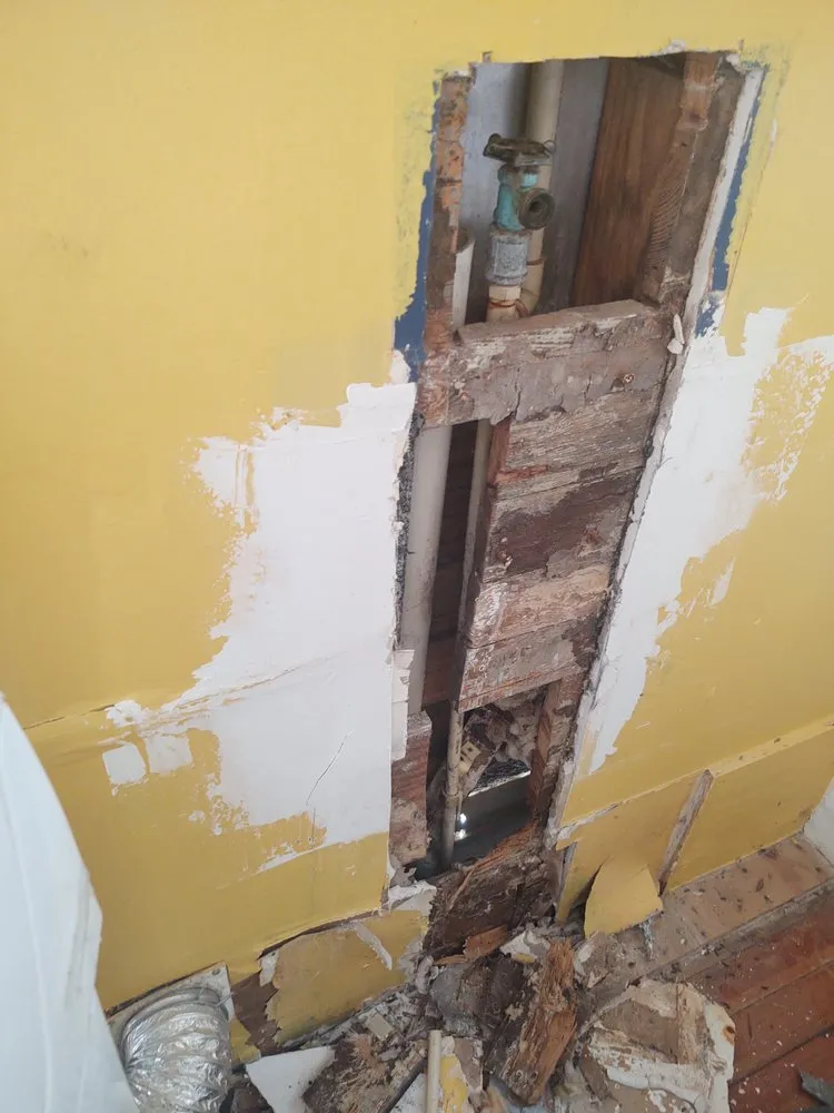 Professional lawn care service in Gulfport, MS by JEM Home Repair And Lawn Care