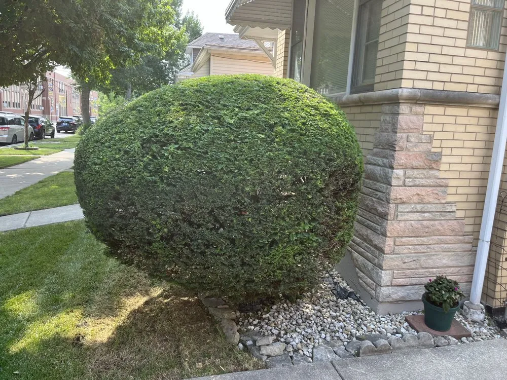 Trusted landscape design for year-round maintenance across Chicago, IL - JEM Landscaping