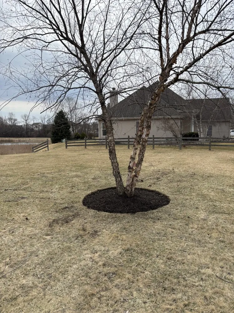 Top-rated residential landscaping in South Milwaukee, WI - Jem Lawn Care