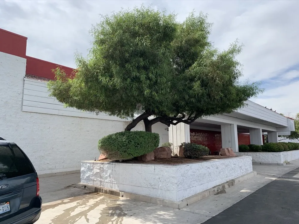 Trusted lawn mowing service experts serving Las Vegas, NV - Jem Lawn Maintenance